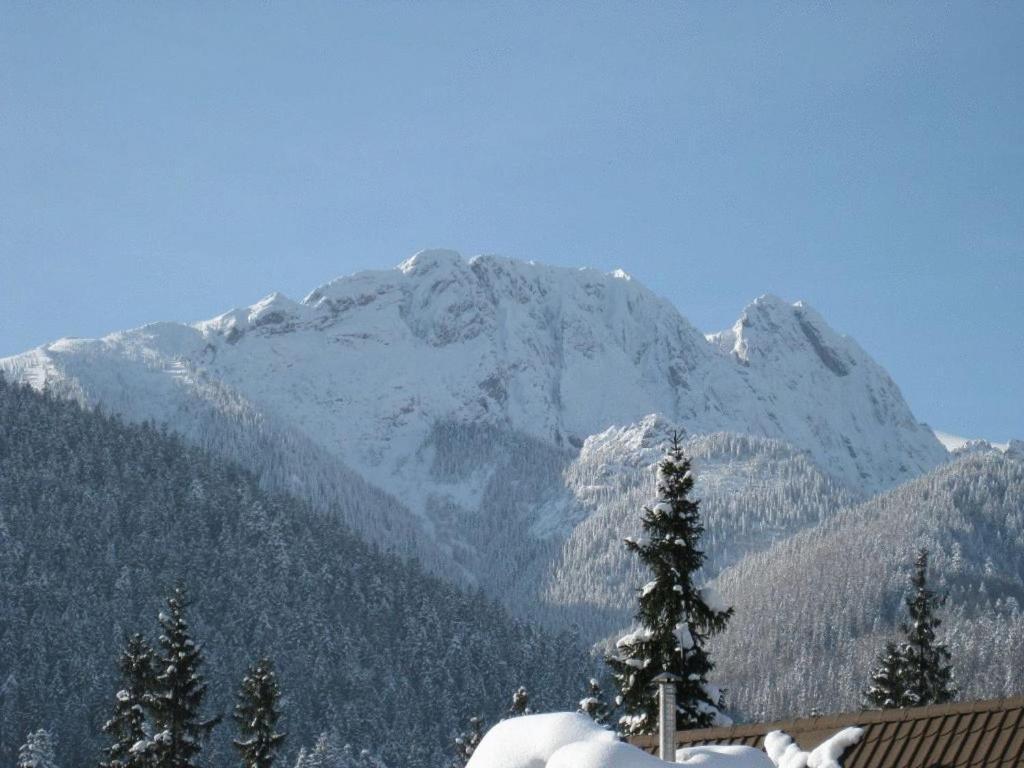 Apartments Zakopane Center Exterior foto